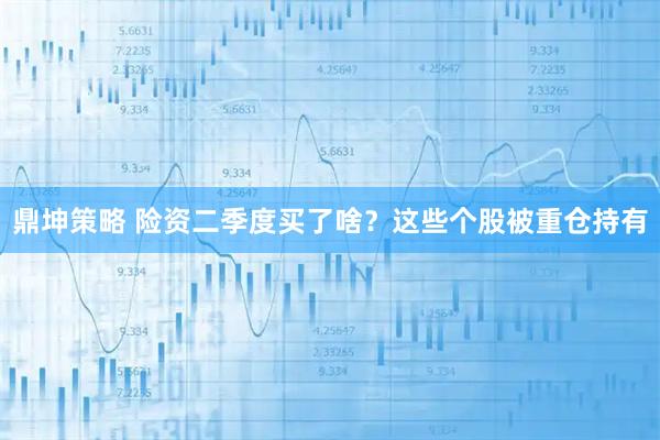 鼎坤策略 险资二季度买了啥？这些个股被重仓持有